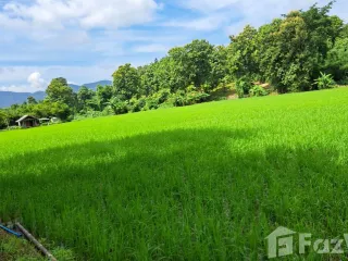 Продажа Участок в Дои Сакет, Чианг Маи