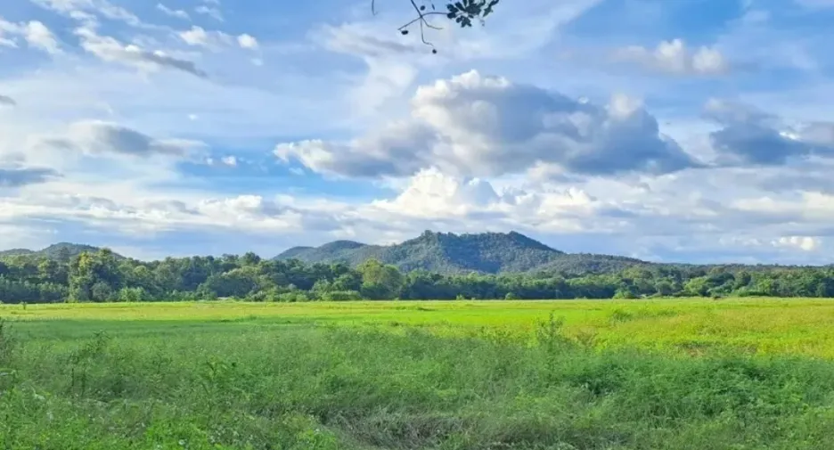 For sale land in Doi Saket, Chiang Mai