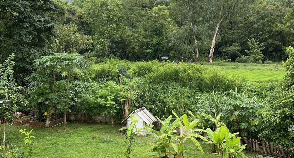 For sale and for rent 3 bedrooms house in Doi Saket, Chiang Mai