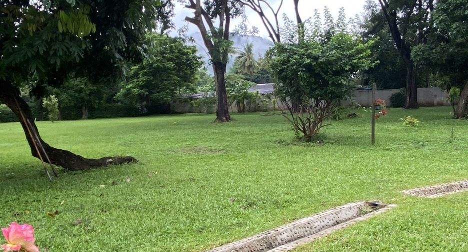 For sale and for rent 3 bedrooms house in Doi Saket, Chiang Mai