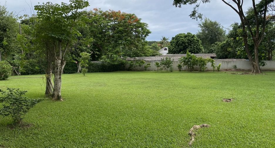 For sale and for rent 3 bedrooms house in Doi Saket, Chiang Mai