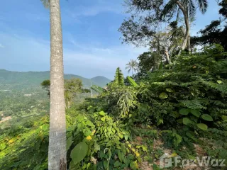 For sale land in Ko Samui, Surat Thani