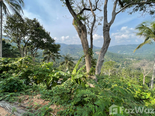 For sale land in Ko Samui, Surat Thani