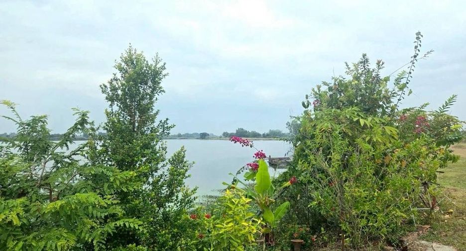 For sale land in Doi Lo, Chiang Mai
