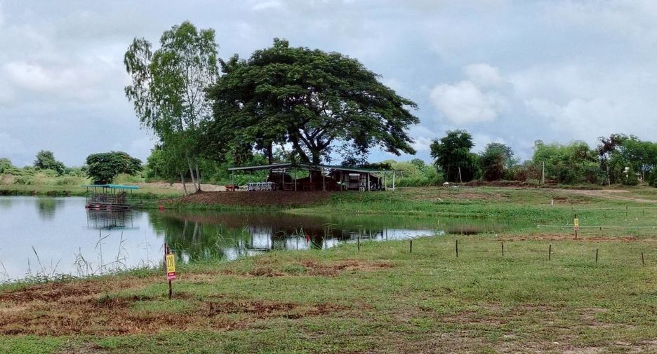 For sale land in Doi Lo, Chiang Mai
