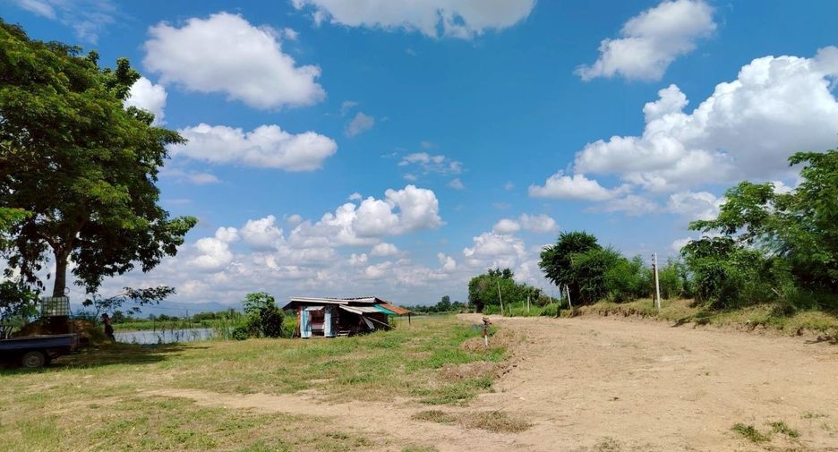 For sale land in Doi Lo, Chiang Mai