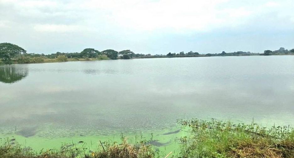 For sale land in Doi Lo, Chiang Mai