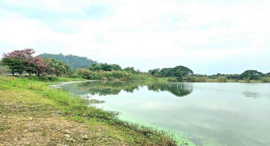 For sale land in Doi Lo, Chiang Mai