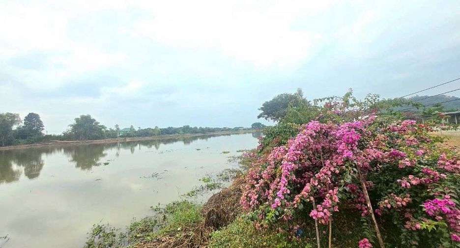 For sale land in Doi Lo, Chiang Mai