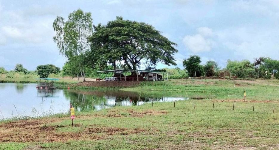 For sale land in Doi Lo, Chiang Mai