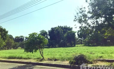 For sale land in Bang Phli, Samut Prakan