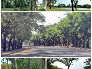 Terreno en venta en Bang Phli, Samut Prakan