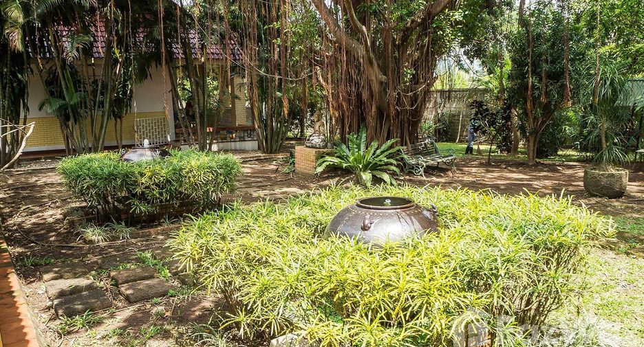 For sale 4 bedrooms house in Doi Saket, Chiang Mai