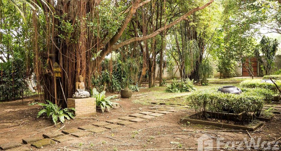 For sale 4 bedrooms house in Doi Saket, Chiang Mai