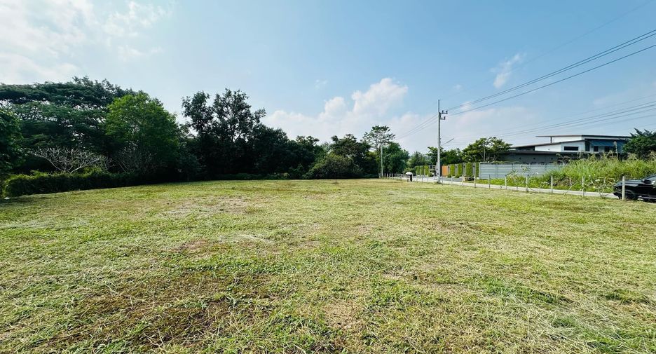 For sale land in Mae Rim, Chiang Mai