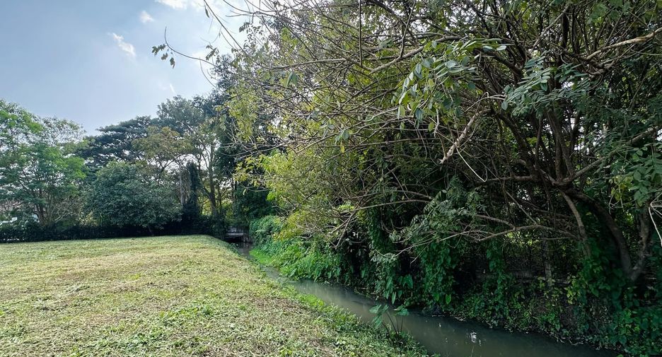 For sale land in Mae Rim, Chiang Mai