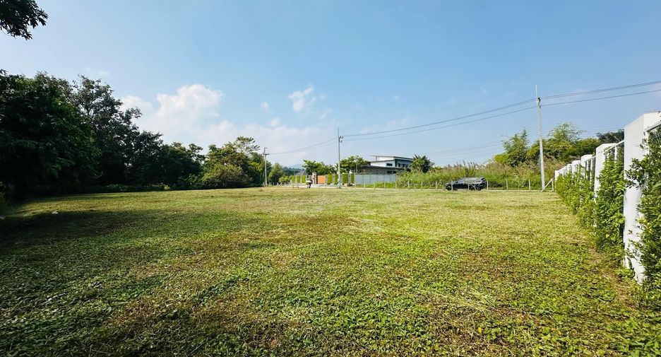 For sale land in Mae Rim, Chiang Mai