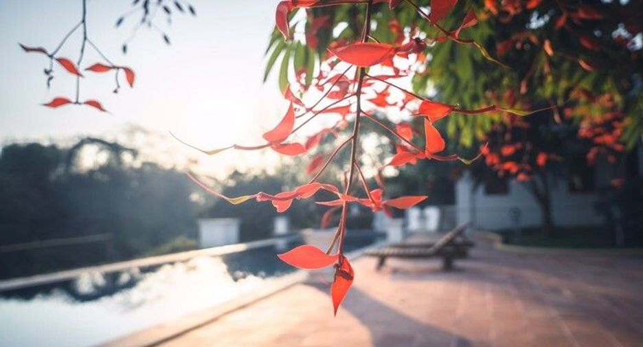 Villa zum Kauf mit 16 Zimmer in Mae Rim, Chiang Mai
