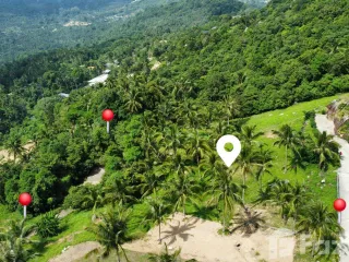 Grundstück zum Kauf in Ko Samui, Surat Thani