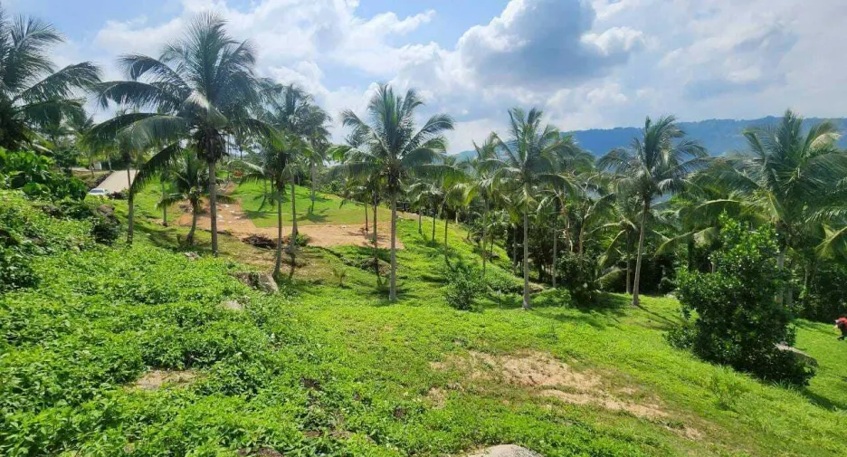 ขาย ที่ดิน ใน เกาะสมุย, สุราษฎร์ธานี