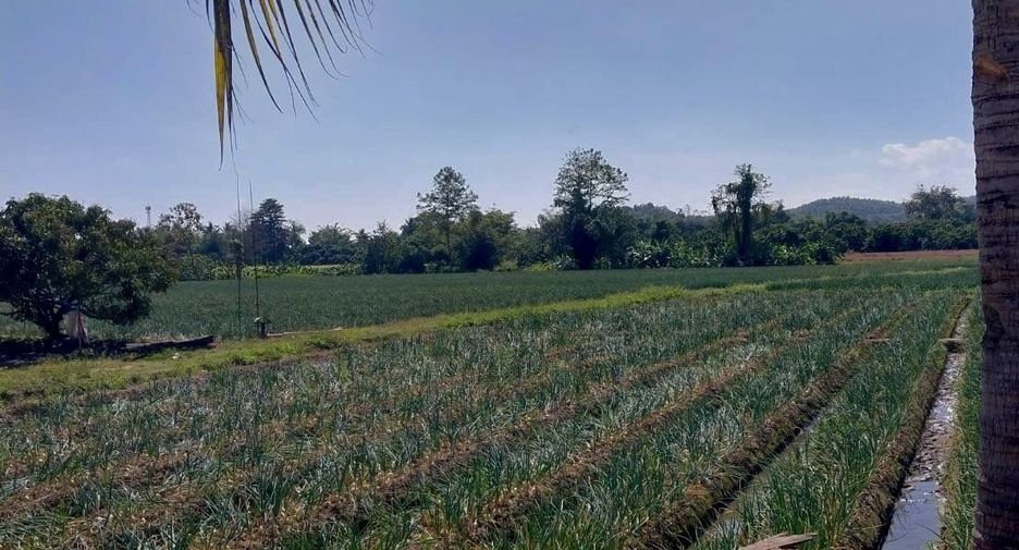 For sale land in Mae Wang, Chiang Mai