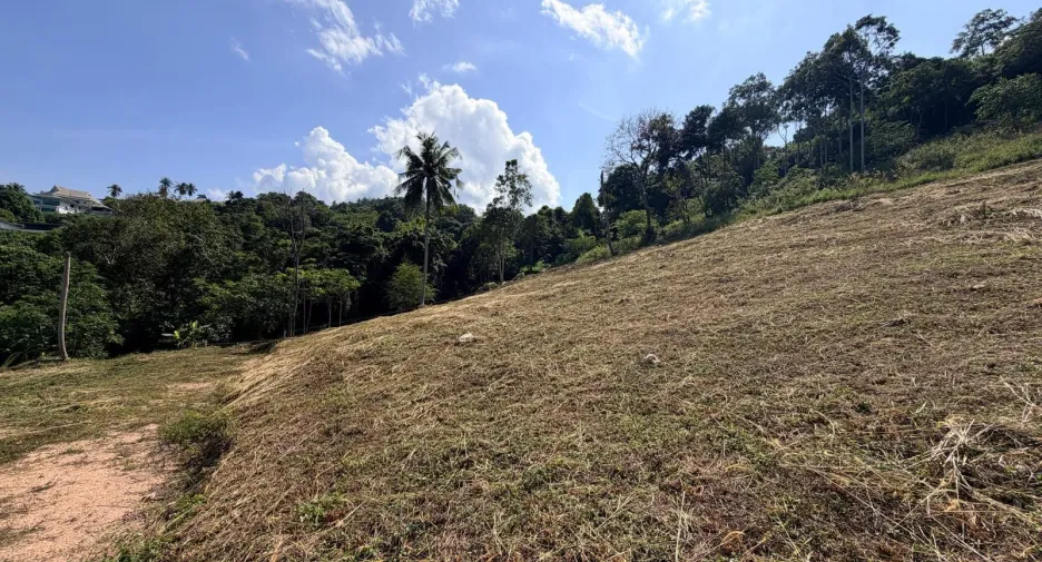 For sale land in Ko Samui, Surat Thani