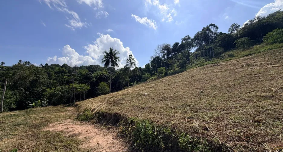 For sale land in Ko Samui, Surat Thani