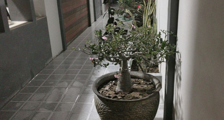 ให้เช่า 2 ห้องนอน บ้านเดี่ยว ใน บางละมุง, ชลบุรี