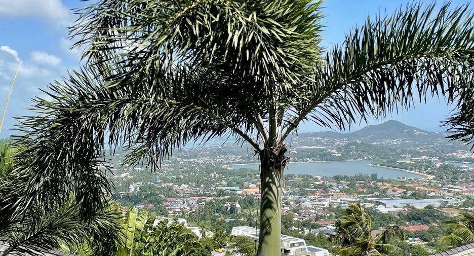 For sale and for rent 4 bedrooms villa in Ko Samui, Surat Thani