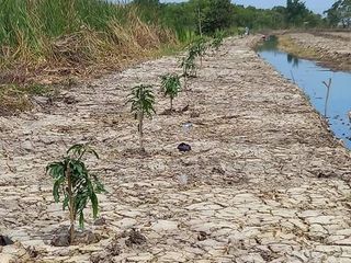 Terreno en venta en Nong Chok, Bangkok