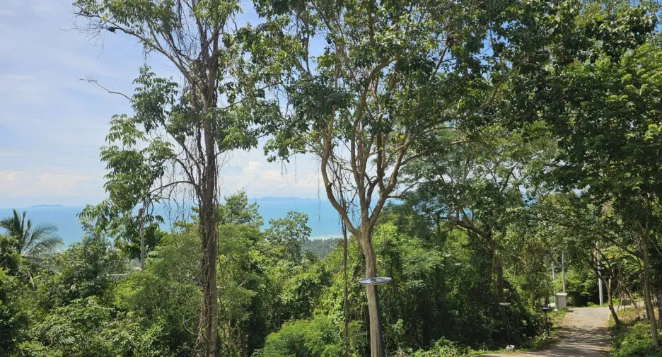 ขาย ที่ดิน ใน เกาะสมุย, สุราษฎร์ธานี