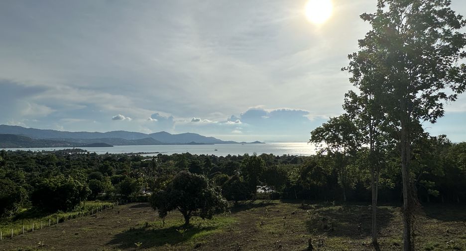 For rent 3 bedrooms villa in Ko Samui, Surat Thani
