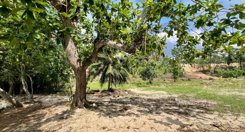 For sale land in Ko Samui, Surat Thani