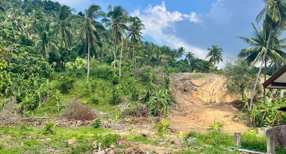 For sale land in Ko Samui, Surat Thani