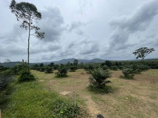 ขาย ที่ดิน ใน ตะกั่วทุ่ง, พังงา