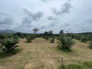 ขาย ที่ดิน ใน ตะกั่วทุ่ง, พังงา