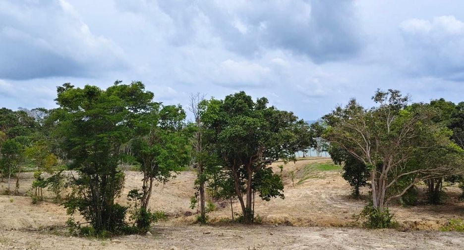 For sale land in Ko Lanta, Krabi