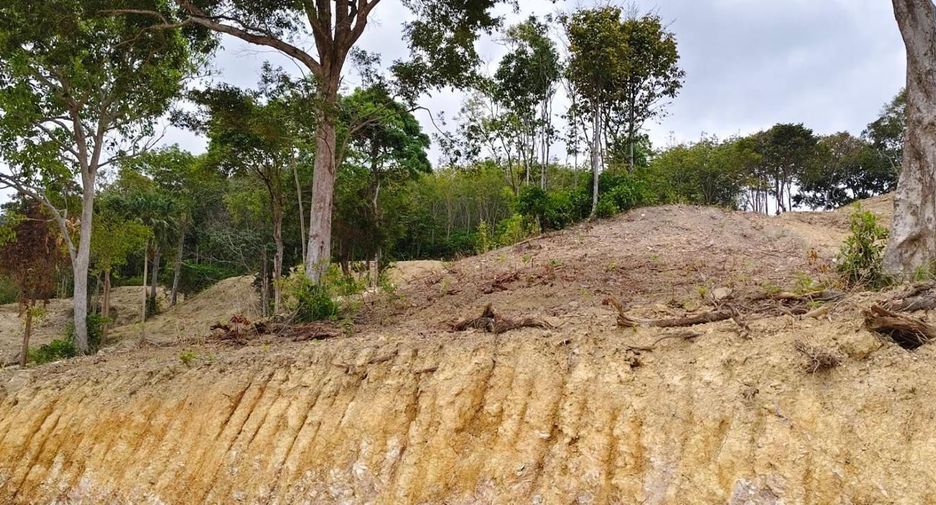 For sale land in Ko Lanta, Krabi