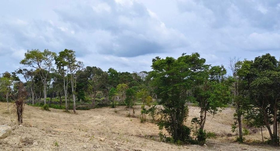 For sale land in Ko Lanta, Krabi