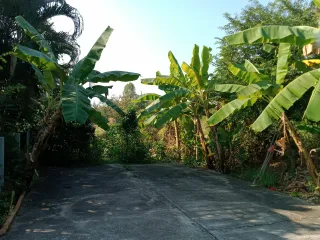For sale 2 bedrooms house in Doi Saket, Chiang Mai