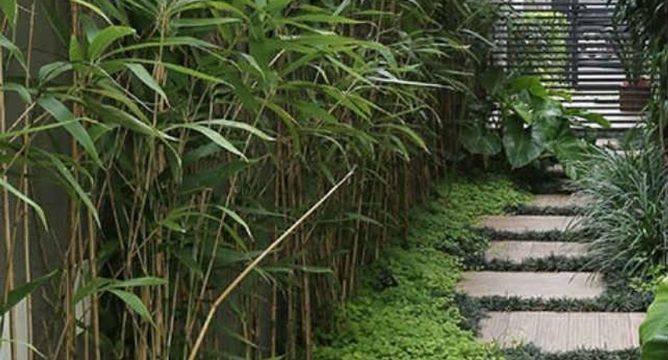 For rent 3 bedrooms house in Mae Rim, Chiang Mai