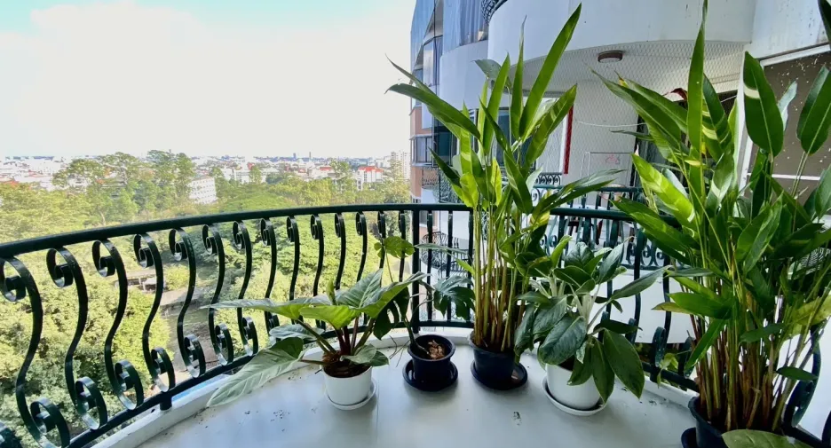 出售 和 出租 1 卧室 公寓 在 Mueang Chiang Mai, Chiang Mai