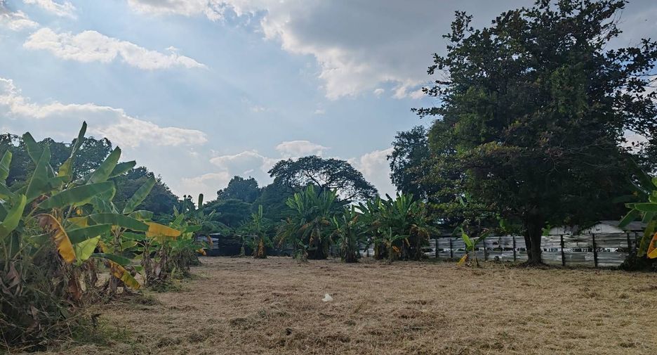 For sale land in Mueang Chiang Mai, Chiang Mai