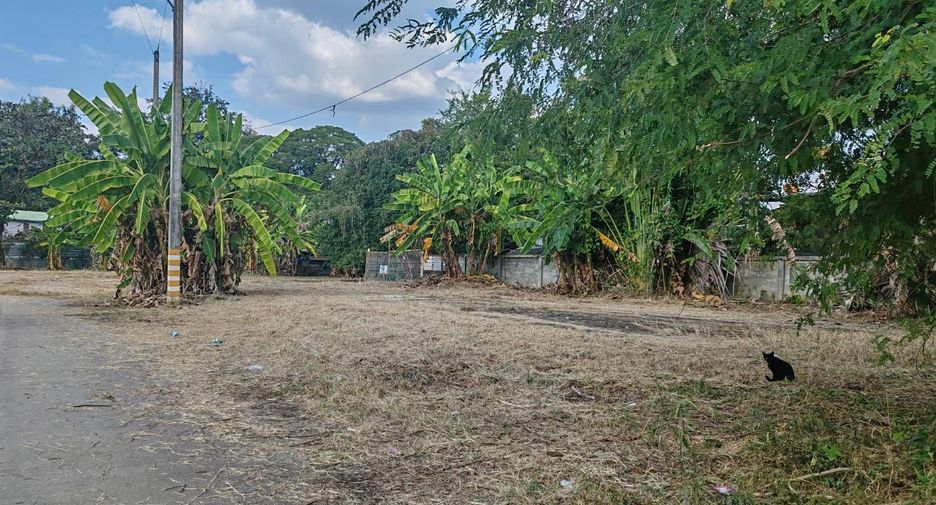 For sale land in Mueang Chiang Mai, Chiang Mai