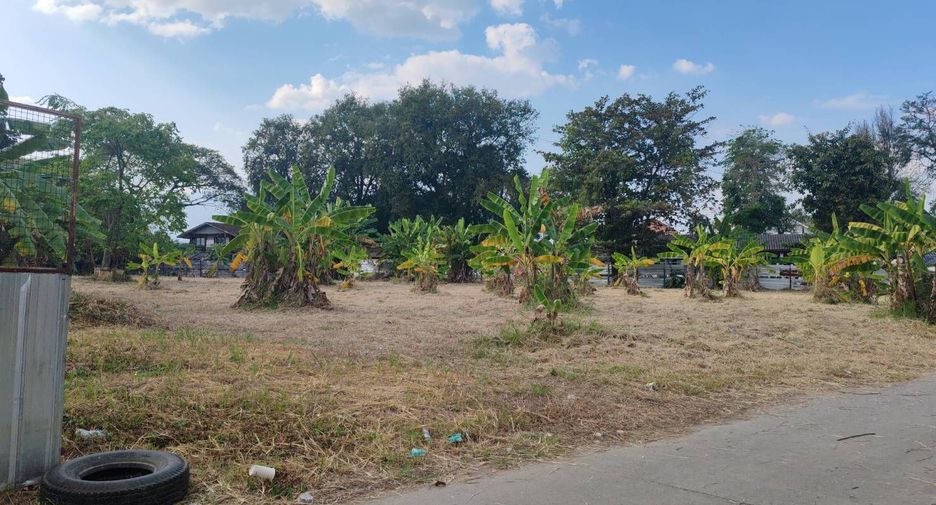 For sale land in Mueang Chiang Mai, Chiang Mai