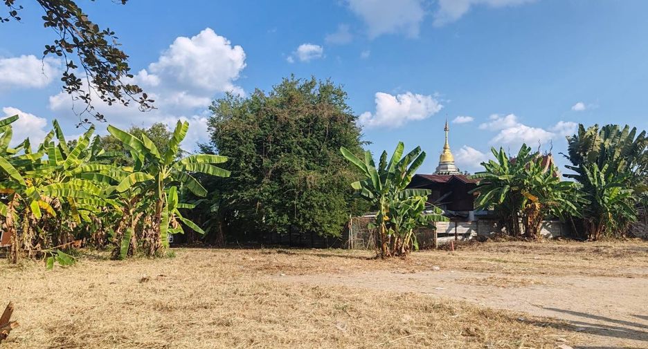 For sale land in Mueang Chiang Mai, Chiang Mai