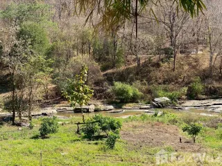 ขาย ที่ดิน ใน จอมทอง, เชียงใหม่