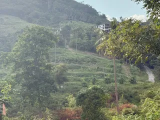 ขาย ที่ดิน ใน เกาะสมุย, สุราษฎร์ธานี