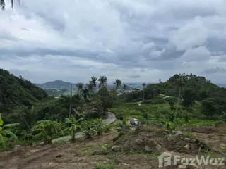 ขาย ที่ดิน ใน เกาะสมุย, สุราษฎร์ธานี