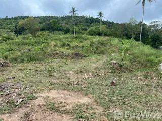 ขาย ที่ดิน ใน เกาะสมุย, สุราษฎร์ธานี